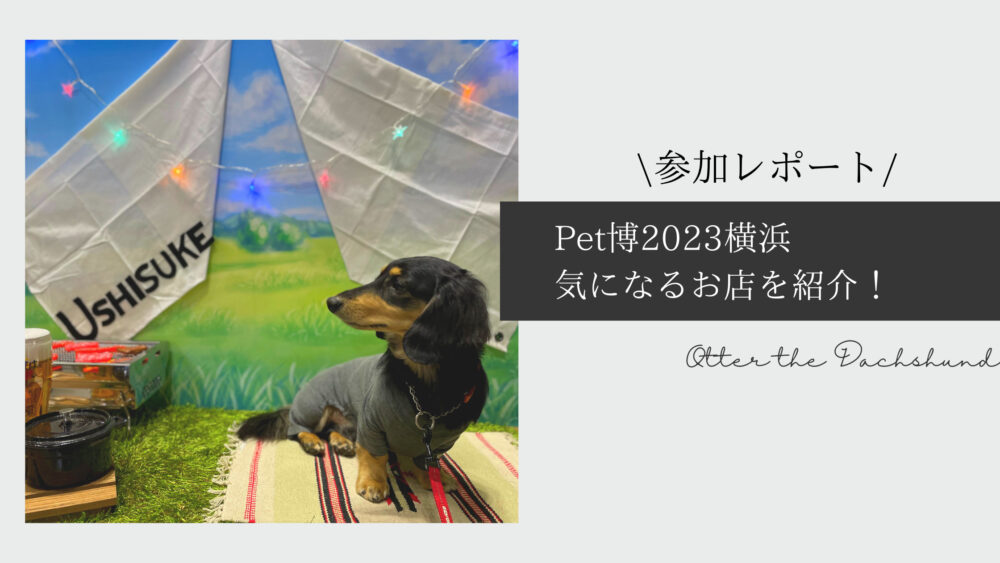 Blog Banner_Otter the Dachshund_Pethaku2023Yokohama shop list